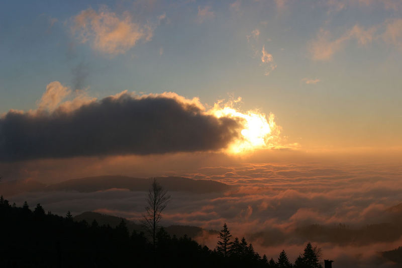 Über den Wolken