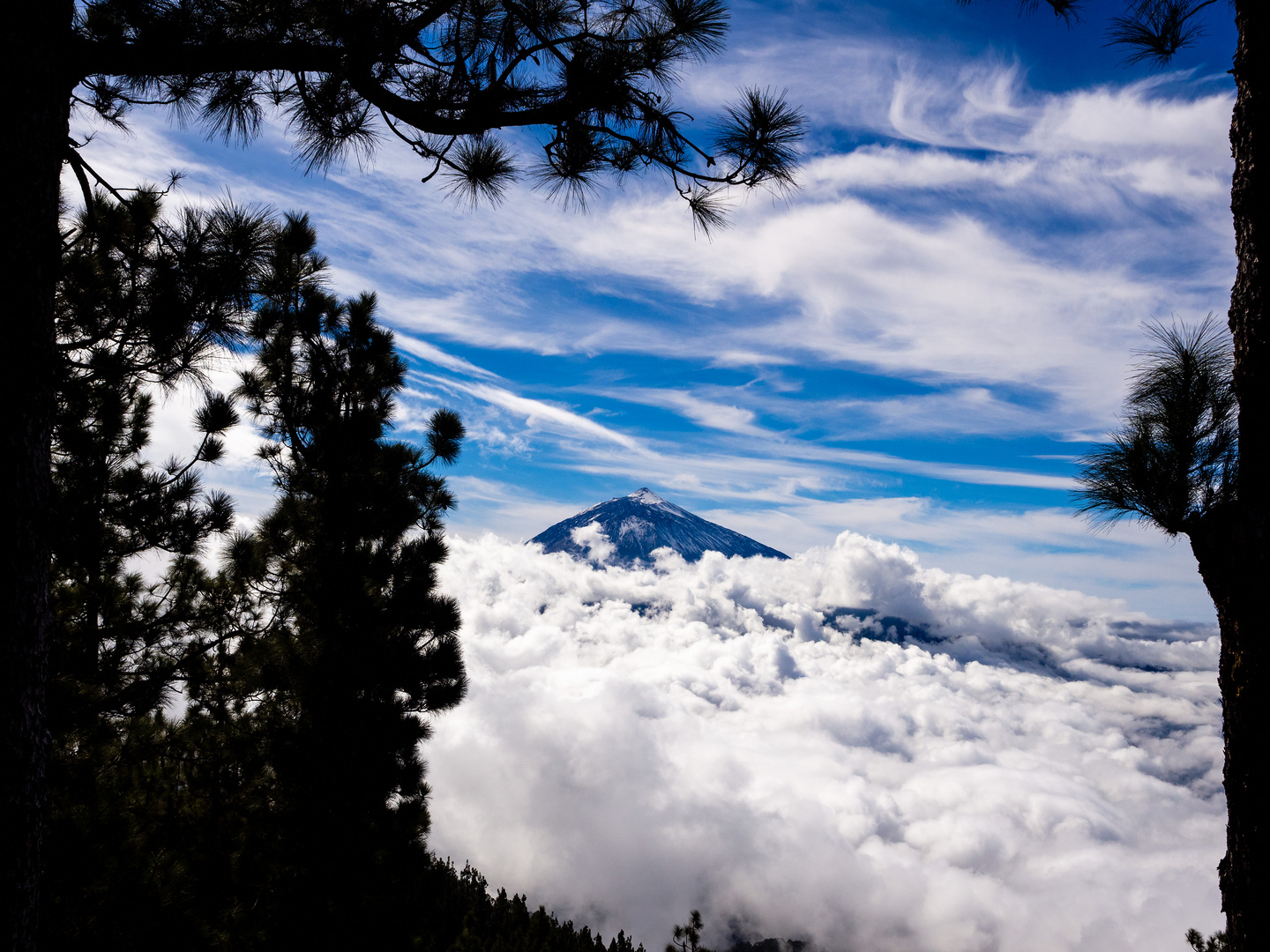 Über den Wolken - Blick auf El Teide Nationalpark, Teneriffa