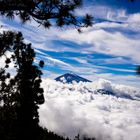 Über den Wolken - Blick auf El Teide Nationalpark, Teneriffa