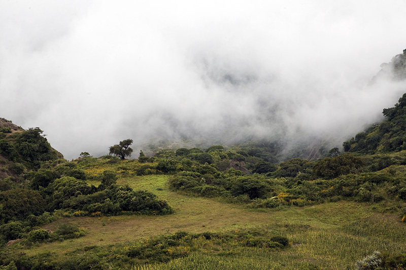 Über den Wolken - Bolivien