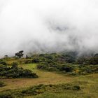 Über den Wolken - Bolivien