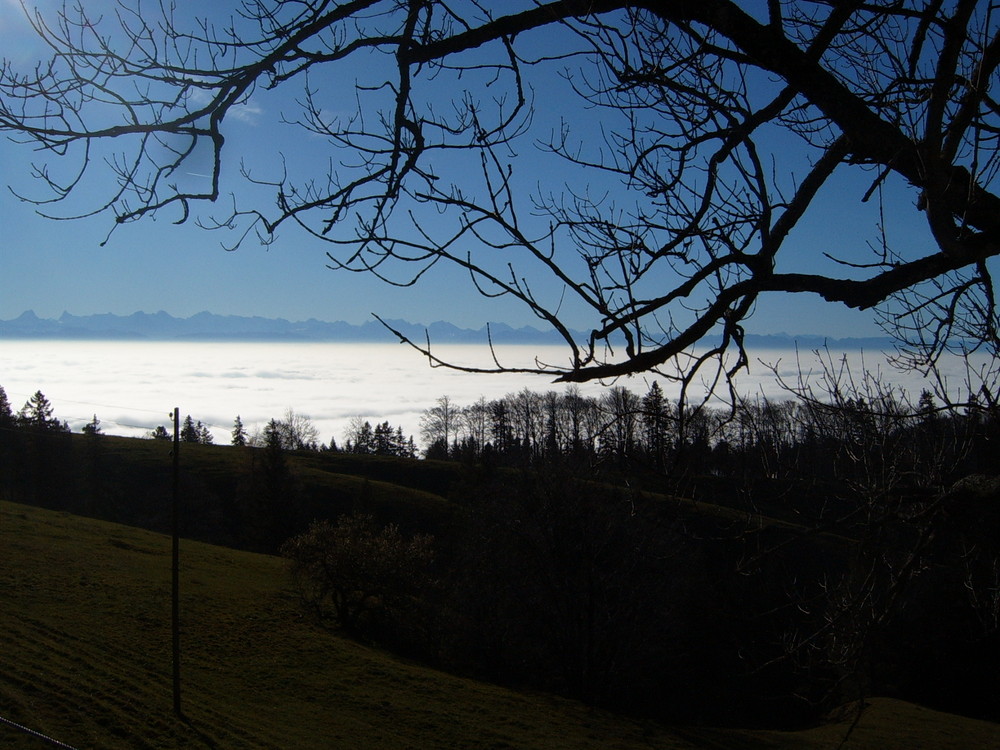 üBer dEn WoLKen