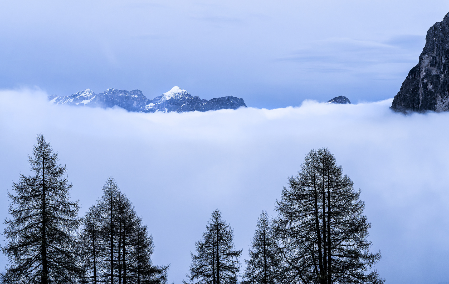 Über den Wolken