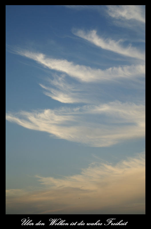 Über den Wolken ca.1000m