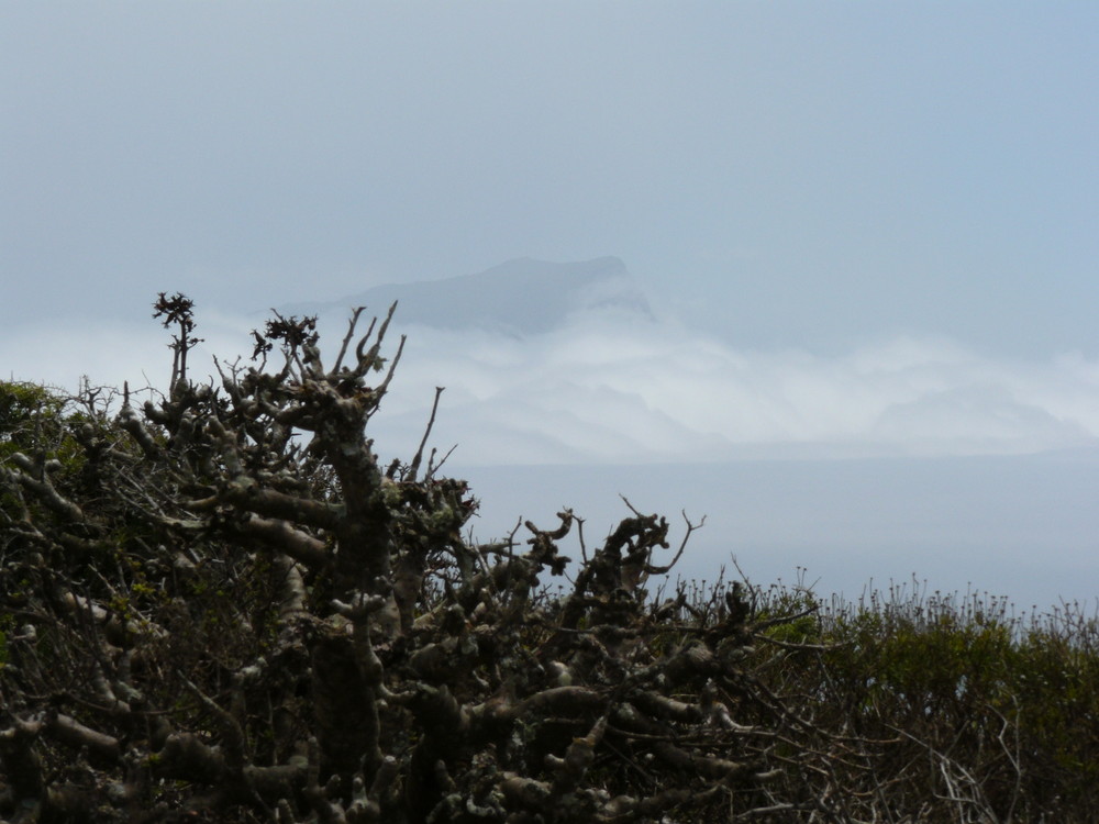 Über den Wolken - Cape Point