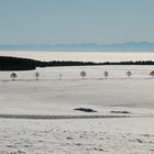 ..über den Wolken