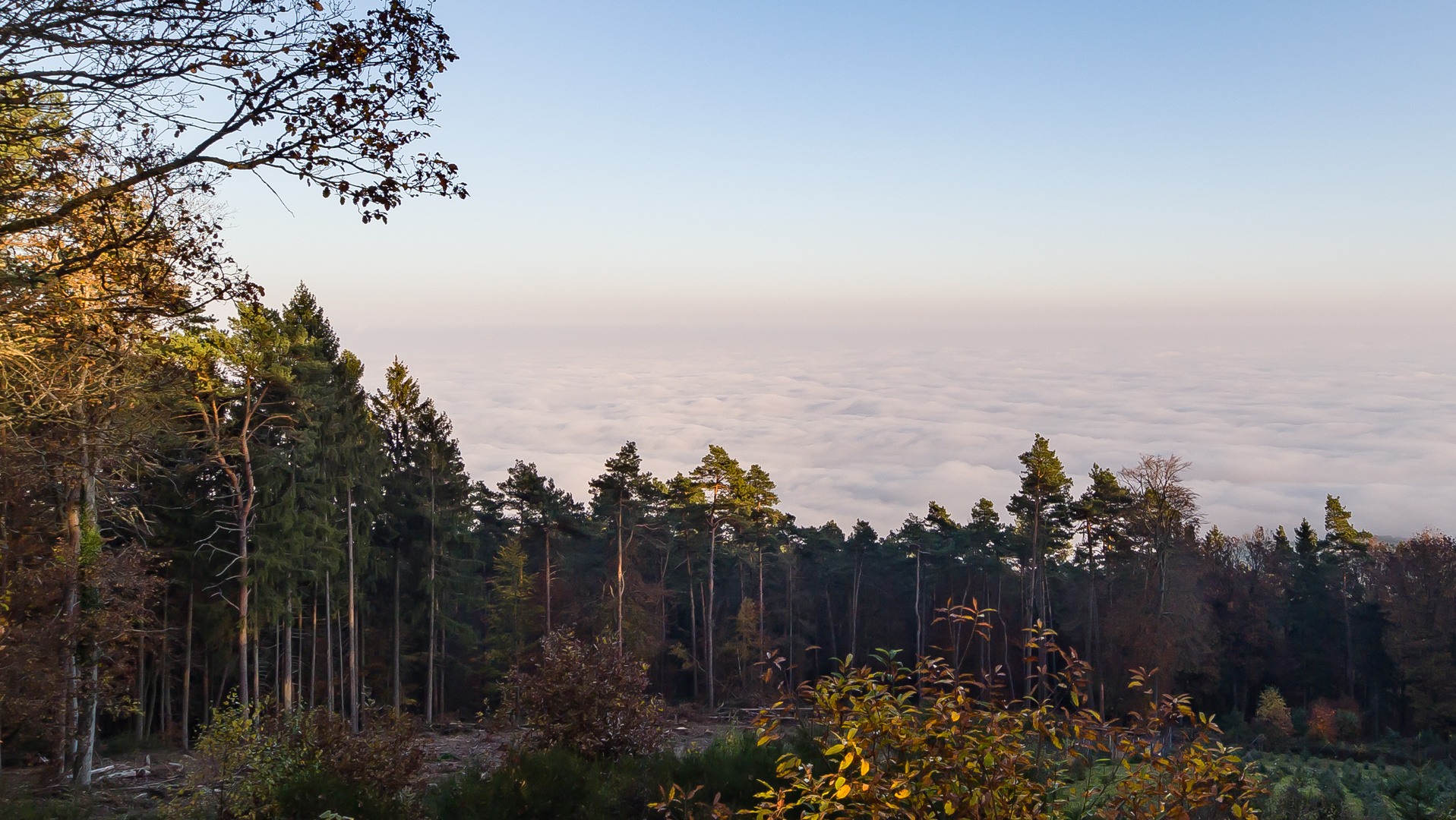 Über den Wolken ...