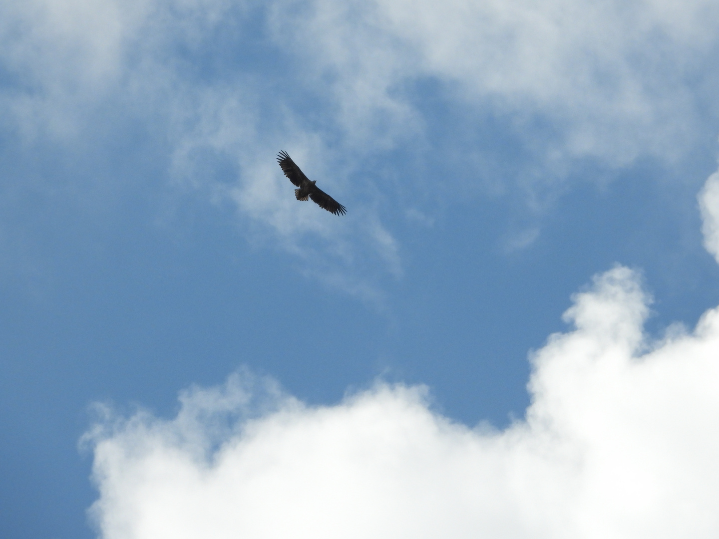 Über den Wolken