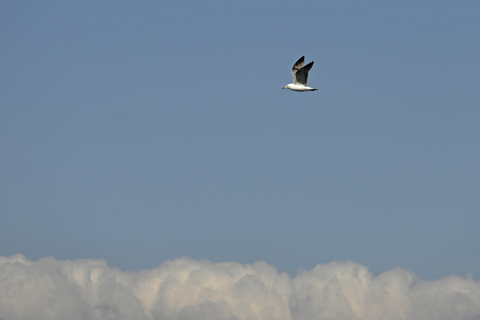 Über den Wolken ...