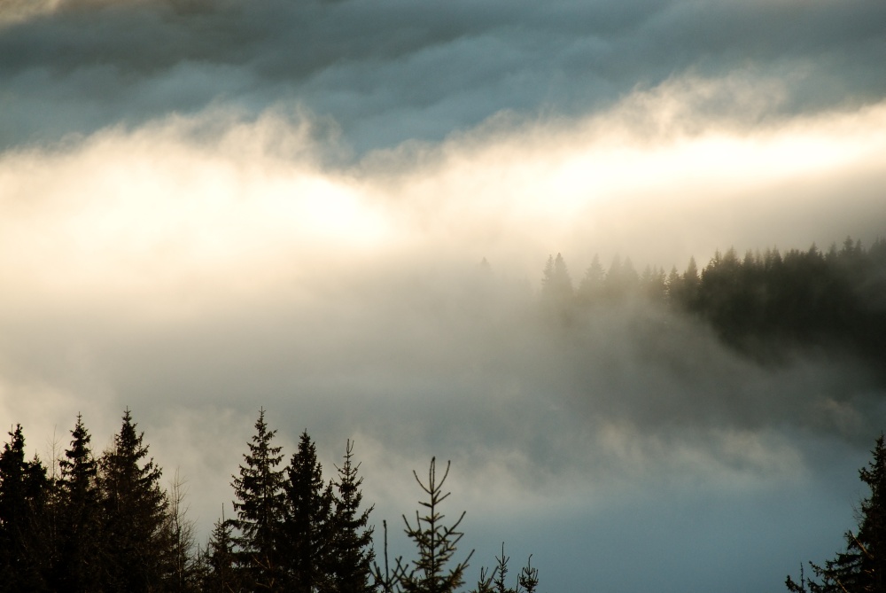 Über den Wolken