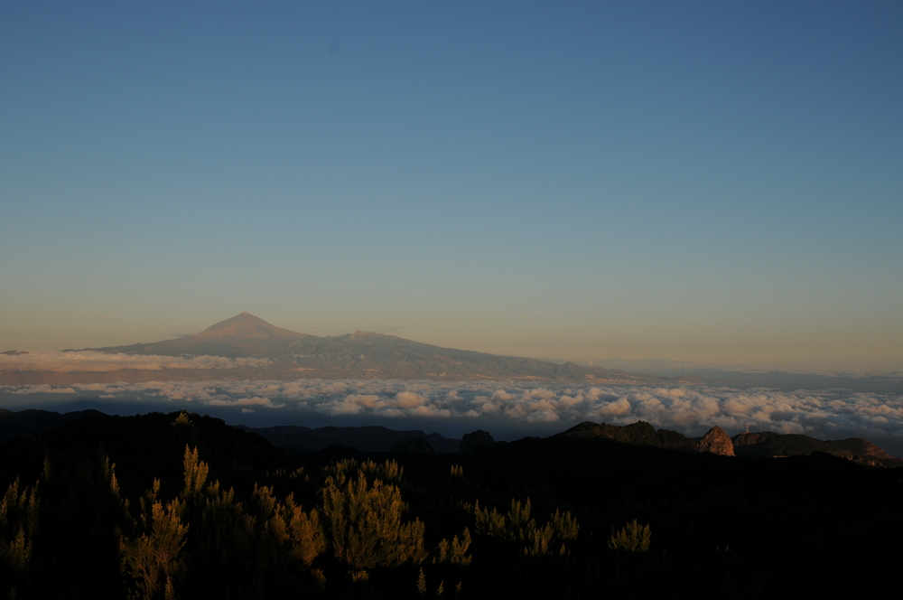 Über den Wolken - der Teide thront
