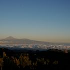 Über den Wolken - der Teide thront