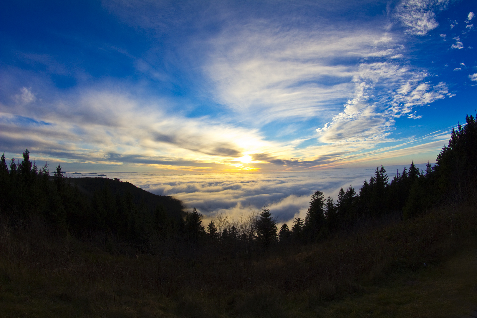 Über den Wolken