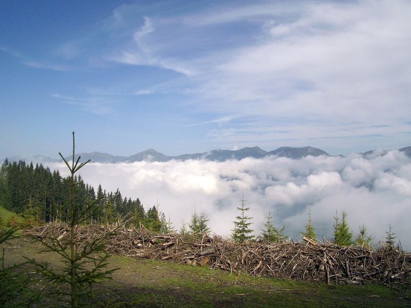 Über den Wolken....