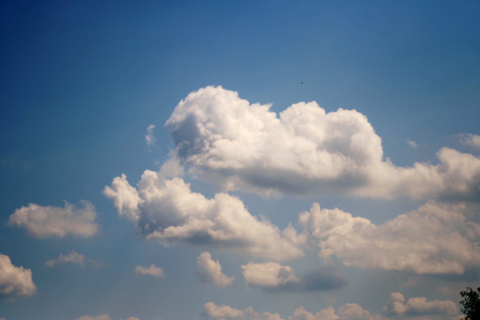 Über den Wolken ......