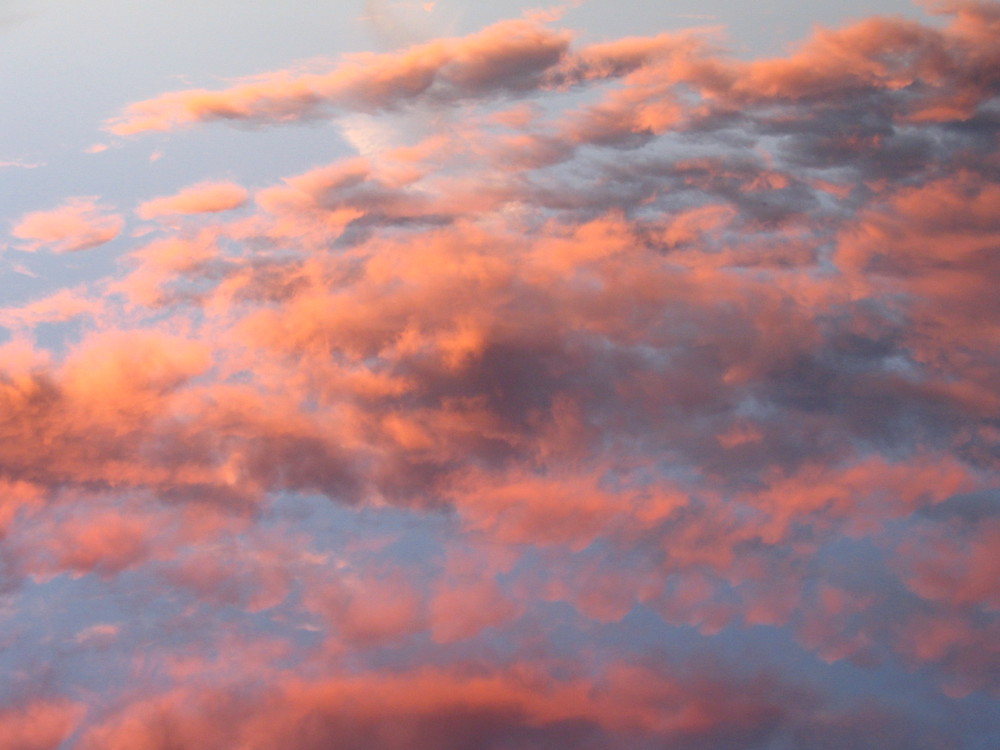 Über den Wolken