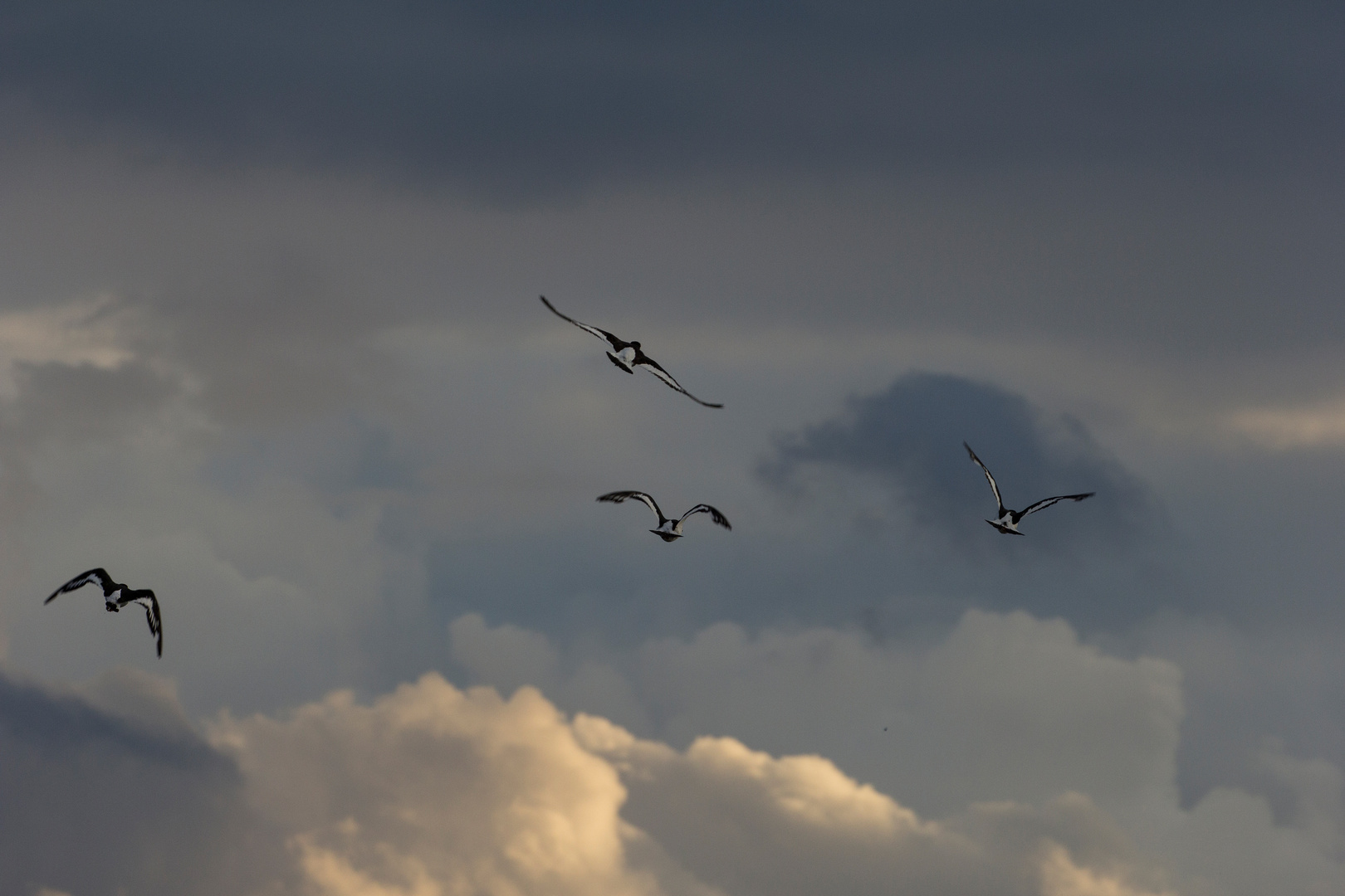 Über den Wolken...