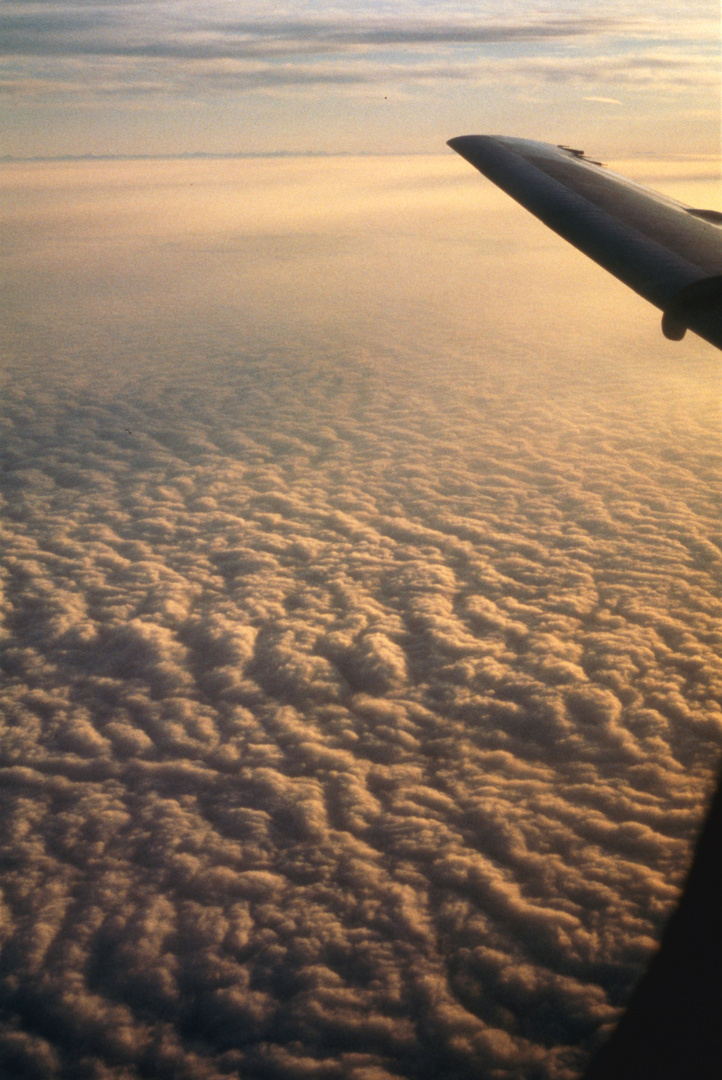 Über den Wolken