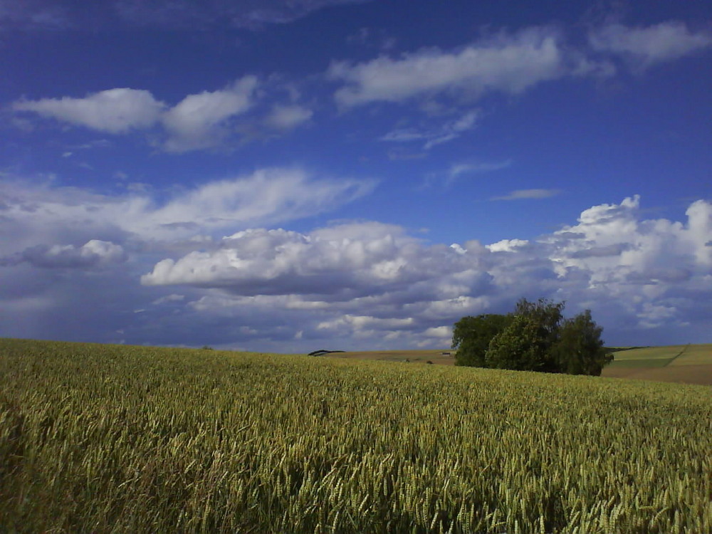 Über den Wolken...