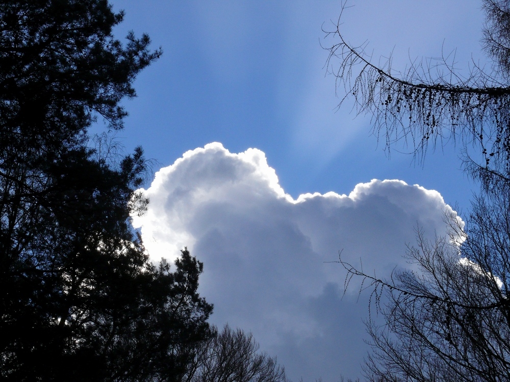 Über den Wolken ...