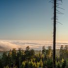 Über den Wolken - Feldberg Panorama