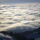 Über den Wolken im Hochschwarzwald.