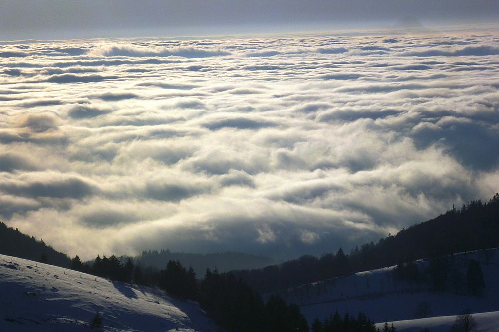 Über den Wolken im Hochschwarzwald.