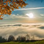 Über den Wolken in Obergrainet