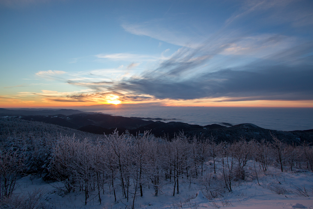 Über den Wolken - Inversionswetterlage im Schwarzwald