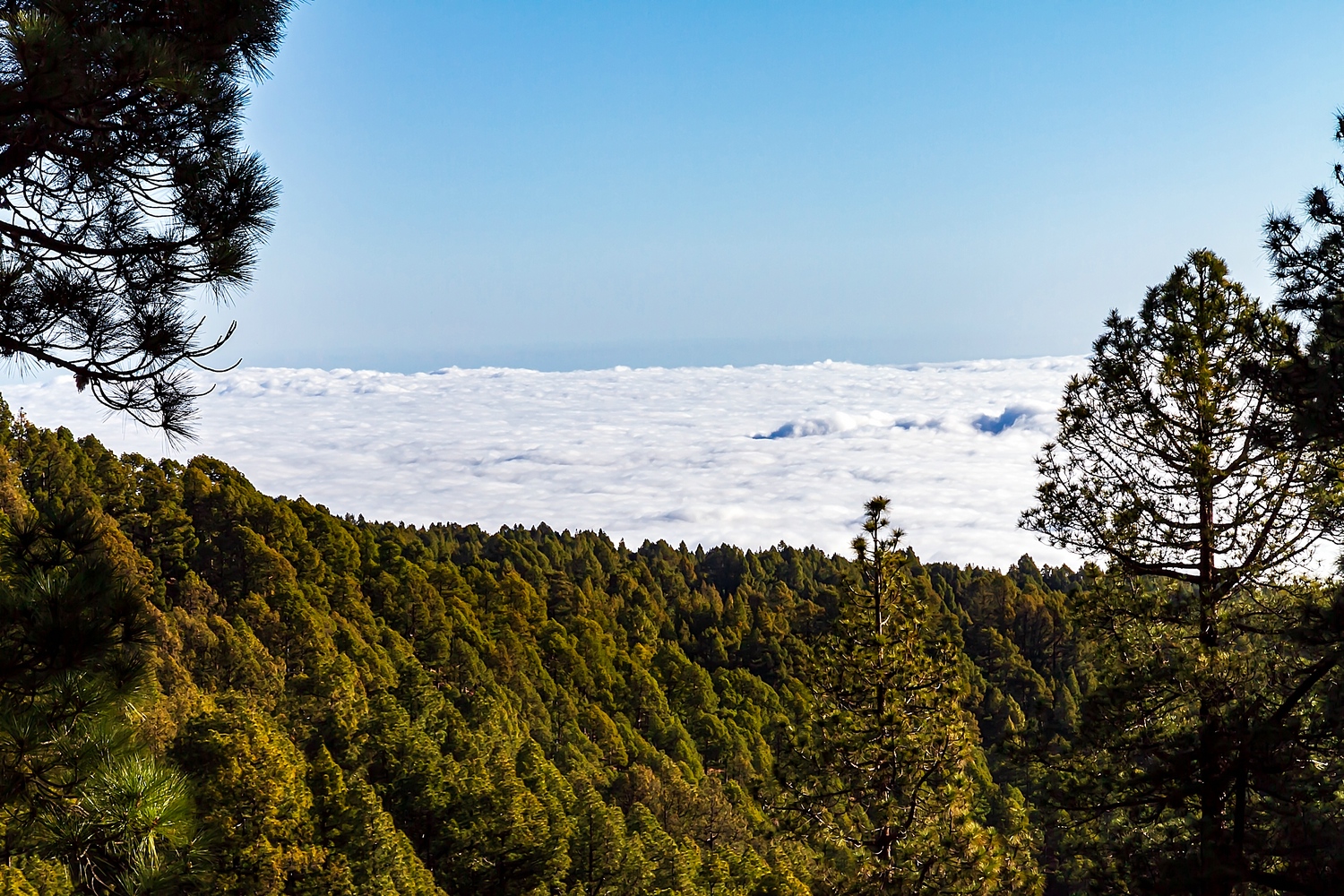 Über den Wolken ist der Himmel blau