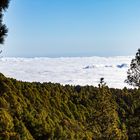 Über den Wolken ist der Himmel blau