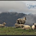 Über den Wolken ist es etwas frisch...