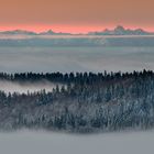 Über den Wolken ..... muss die Freiheit .....