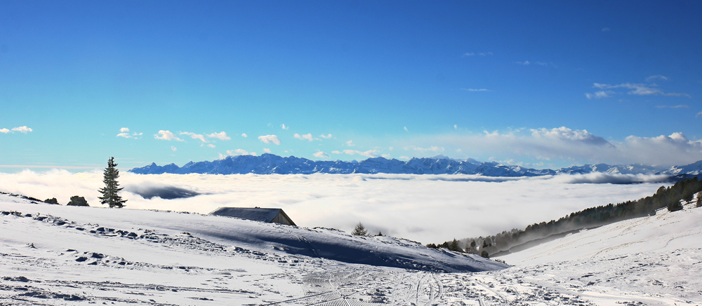 Ueber den Wolken muss die Freiheit nur grenzenlos sein