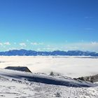 Ueber den Wolken muss die Freiheit nur grenzenlos sein