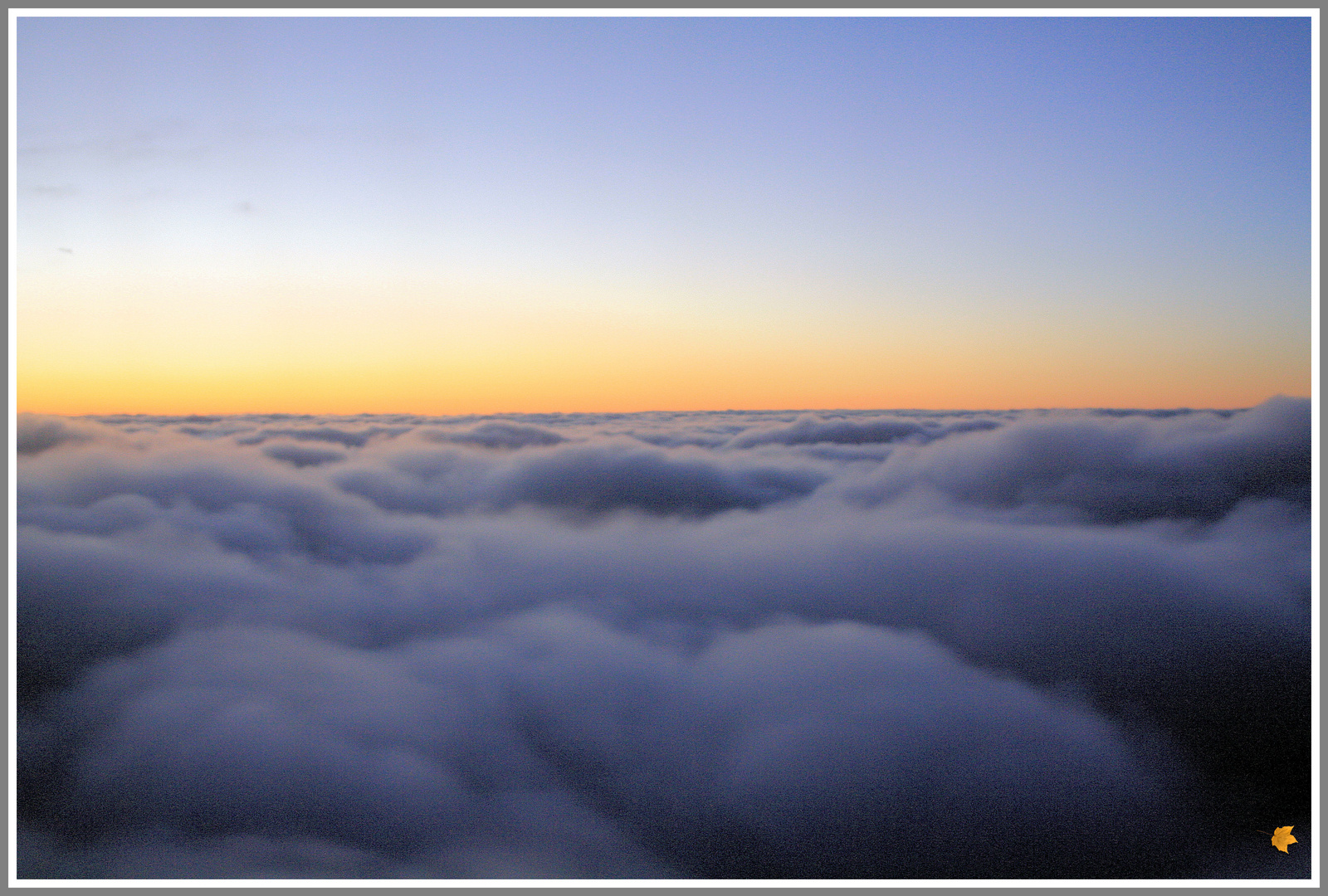 ... über den Wolken muss die Freiheit wohl grenzenlos sein