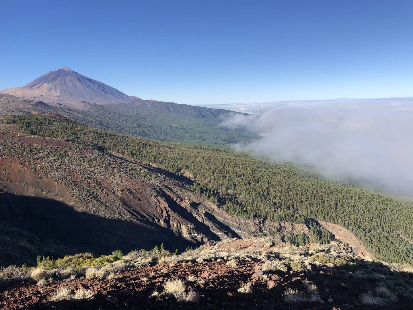 Über den Wolken (Teide Teneriffa)