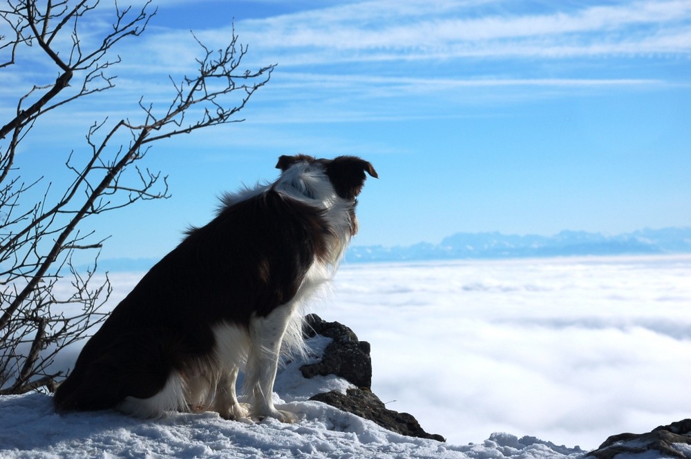 ...über den Wolken...alles im Blick...