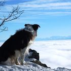 ...über den Wolken...alles im Blick...