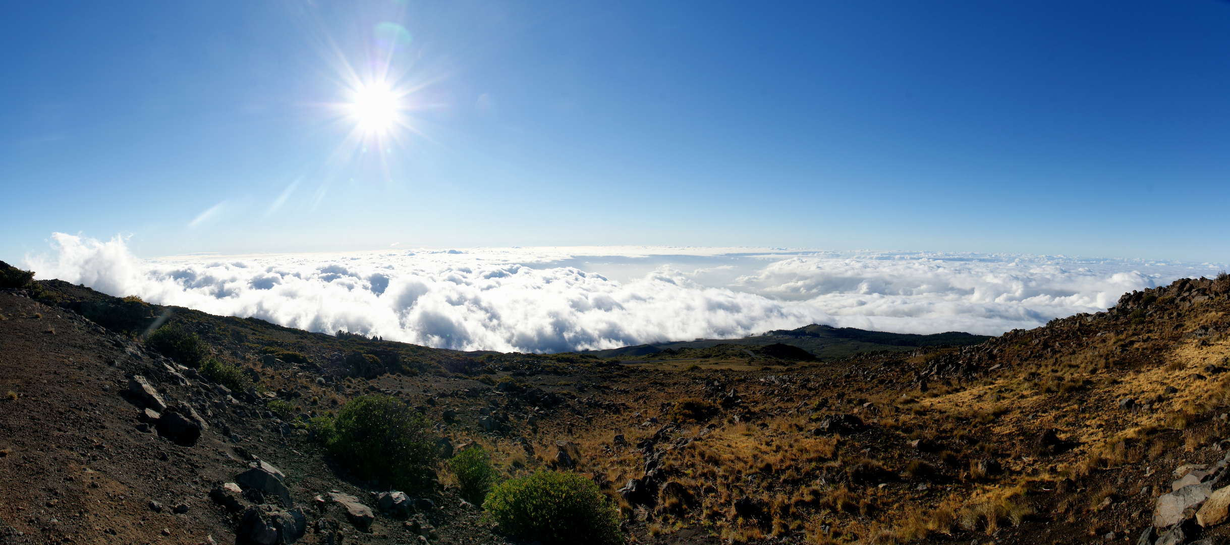 Über den Wolken...auf dem Haleakala