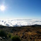 Über den Wolken...auf dem Haleakala