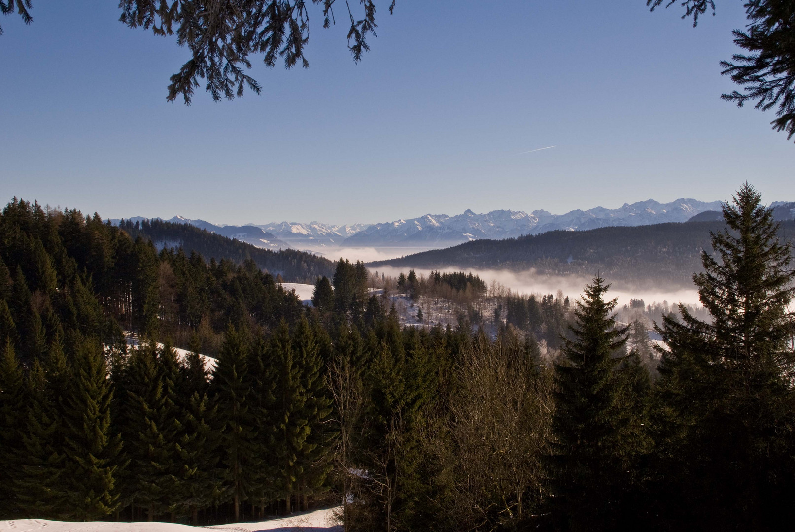 über der Decke