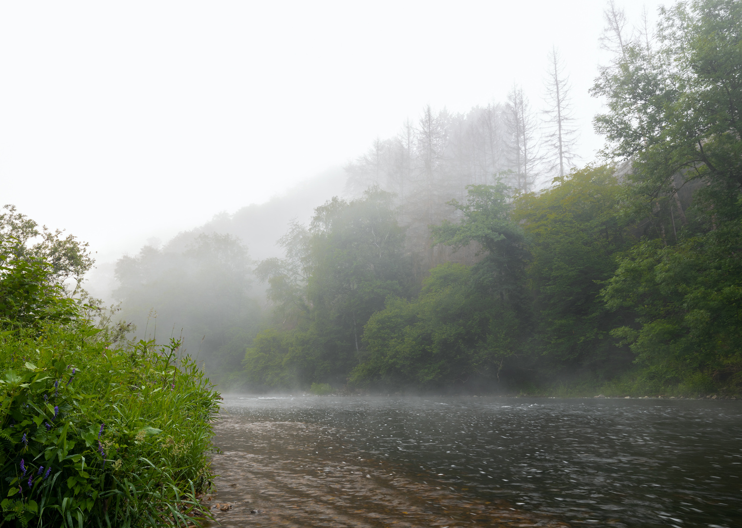 Über der Flussaue lichtet sich der Nebel