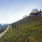 Über der Mainschleife thront die Vogelsburg.