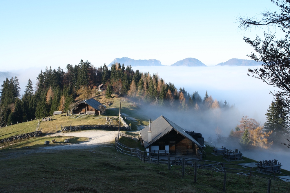 Über der Nebelgrenze