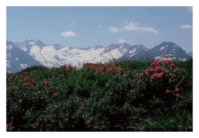 ...über die Berge weit ....