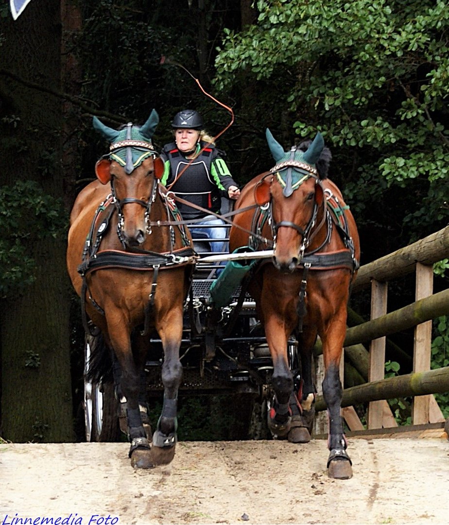 Über  die Brücke