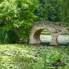 Über die Brücke gehn...