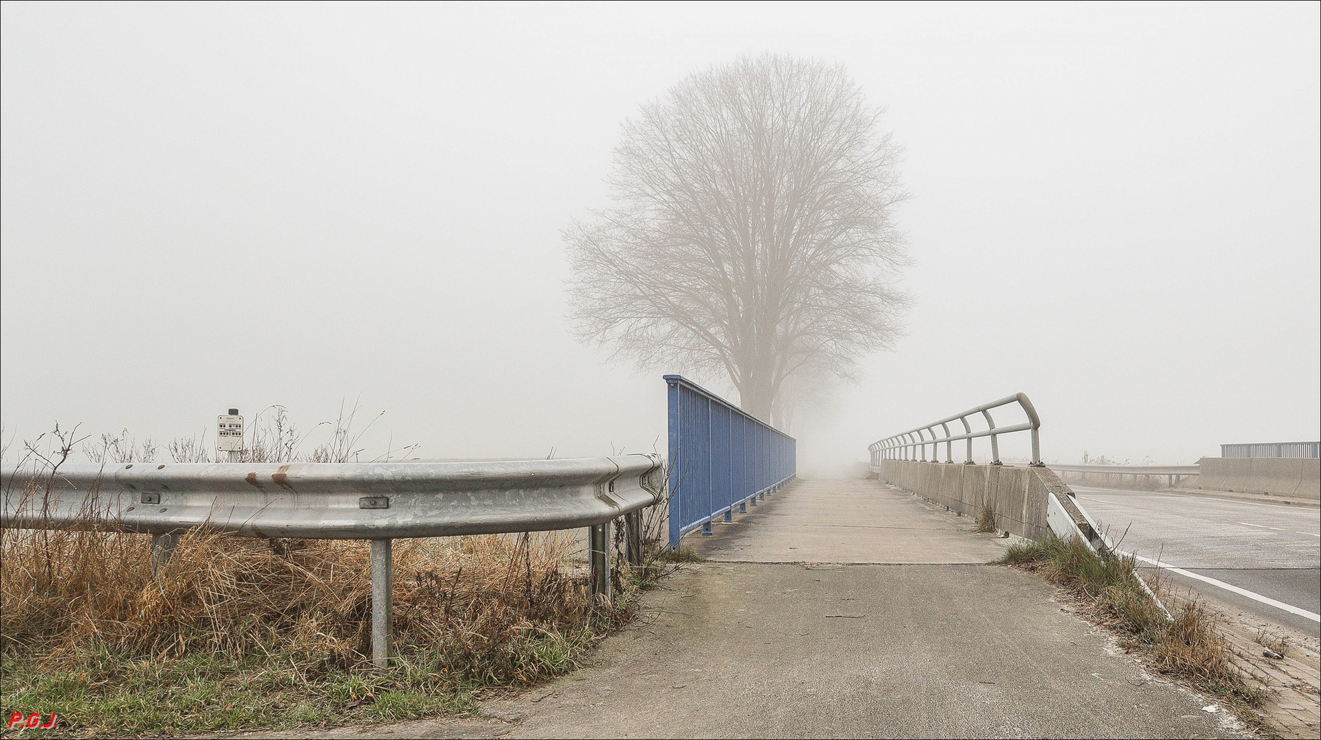 Über die Brücke in den Nebel