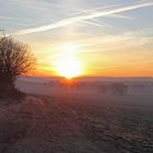 Über die Felder mit Rehen zum Cottaer Spitzberg geschaut...